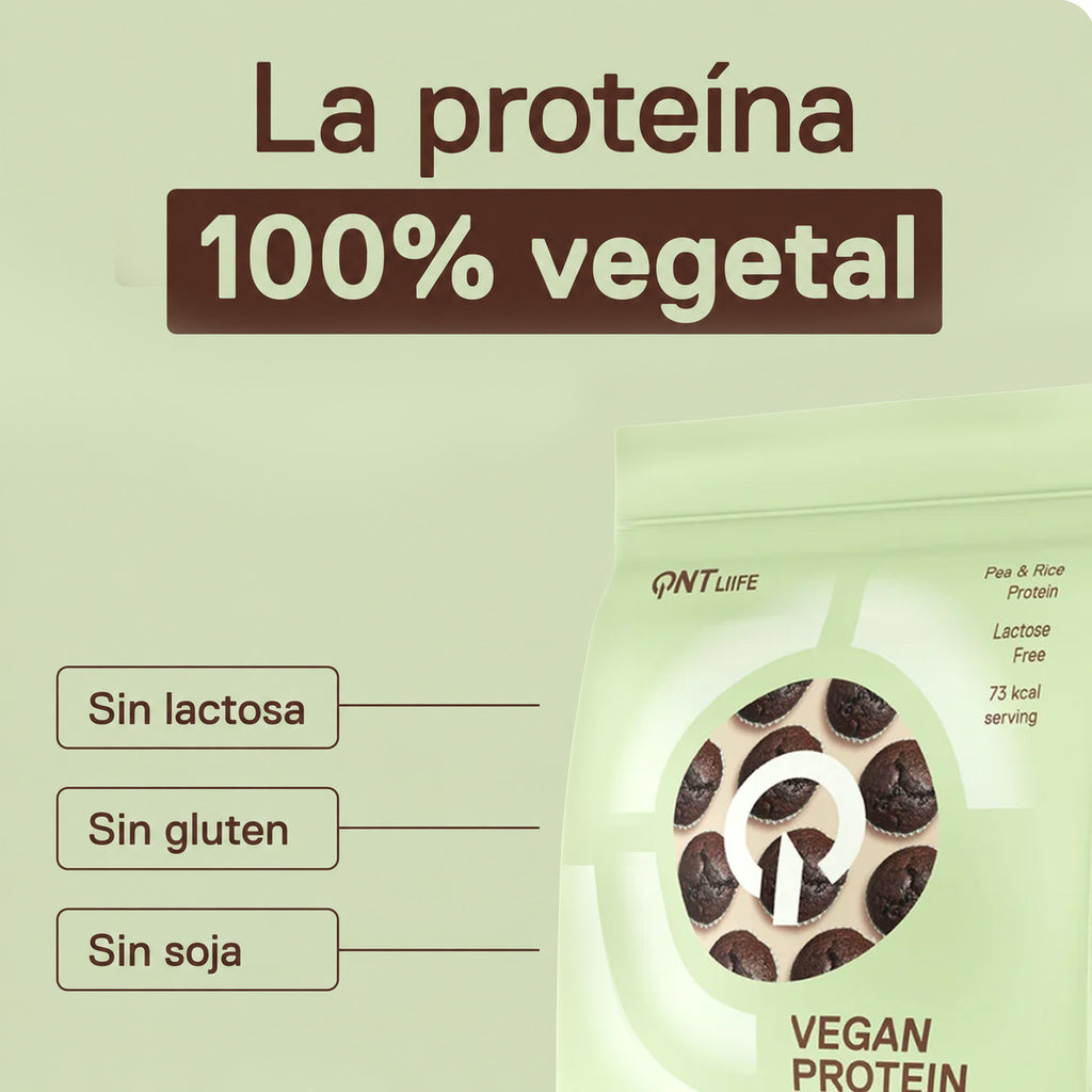 Proteína Vegana Sin Azúcar 500 grs