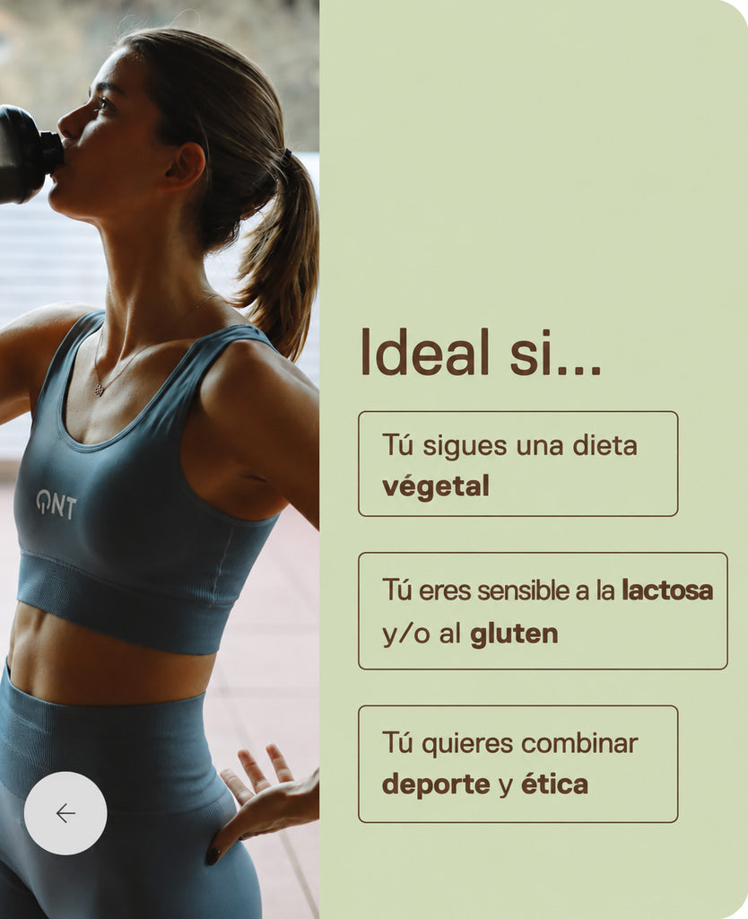Proteína Vegana Sin Azúcar 500 grs